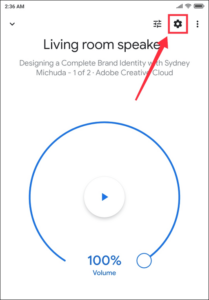 Read more about the article Google home mini how to connect
